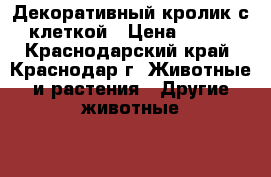 Декоративный кролик с клеткой › Цена ­ 800 - Краснодарский край, Краснодар г. Животные и растения » Другие животные   . Краснодарский край,Краснодар г.